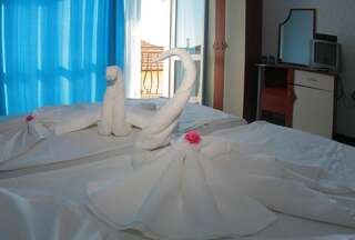 Отель Dirossi Hotel Свети-Влас Двухместный номер с 1 кроватью-10